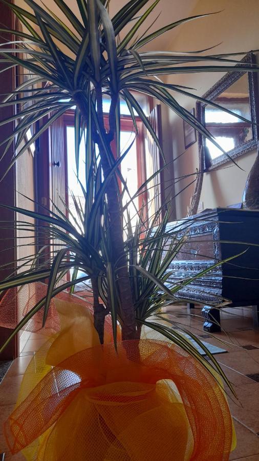 Su Fassoi Cabras Bed and Breakfast Εξωτερικό φωτογραφία