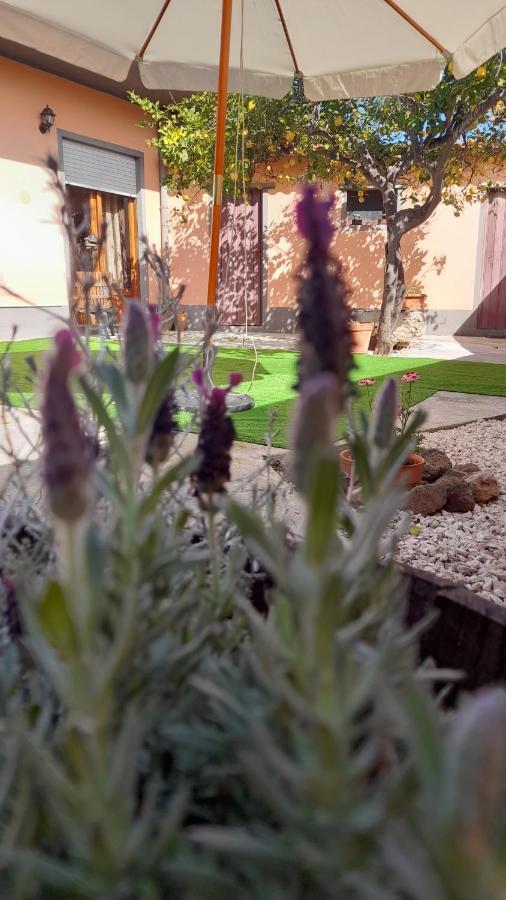 Su Fassoi Cabras Bed and Breakfast Εξωτερικό φωτογραφία