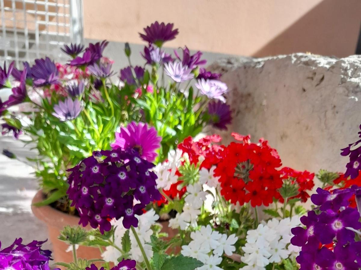 Su Fassoi Cabras Bed and Breakfast Εξωτερικό φωτογραφία